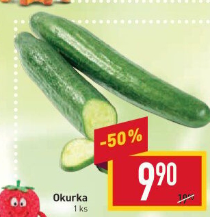 Okurka hadovka
