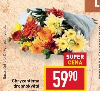 Řezané Chryzantémy