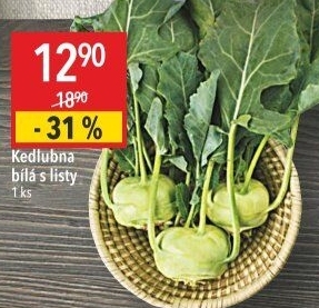 Kedlubna bílá