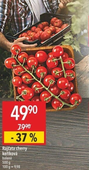 Rajčata cherry keříková