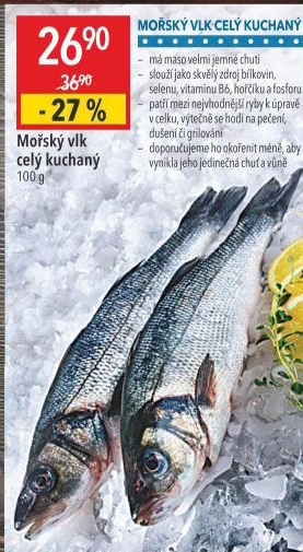 Vlk mořský kuchaný