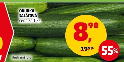 Okurka hadovka