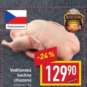 Kachna Vodňanská kachna