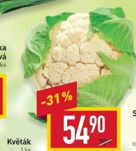 Květák