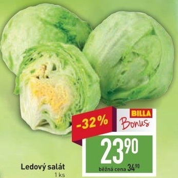 Salát ledový