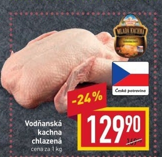Kachna Vodňanská kachna