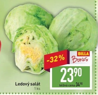 Salát ledový