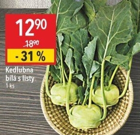 Kedlubna bílá