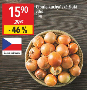 Cibule kuchyňská žlutá