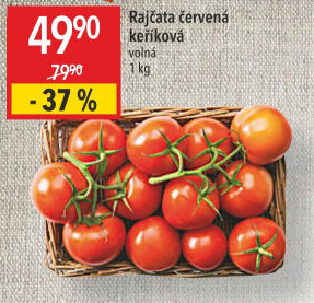 Rajčata keříková
