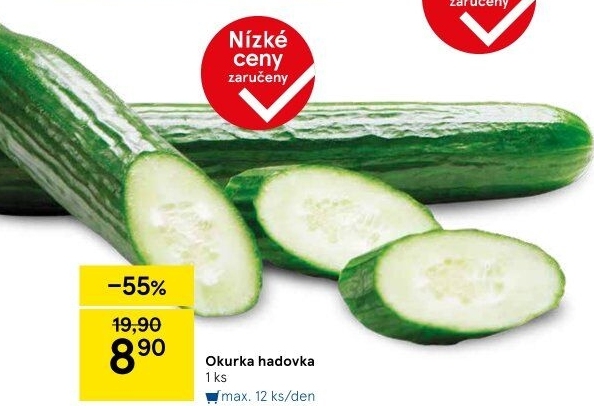 Okurka hadovka