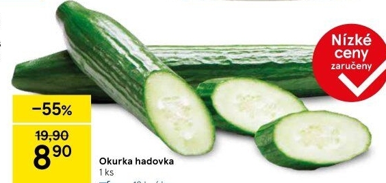 Okurka hadovka