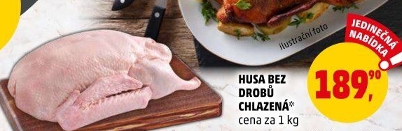 Husa