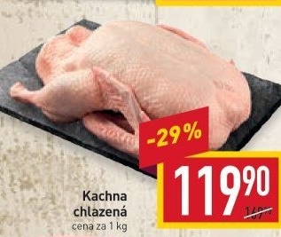 Kachna