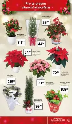 akční leták Tesco 15.11.2023-21.11.2023