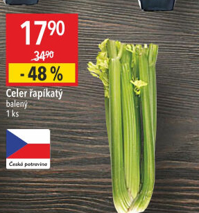 Celer řapíkatý