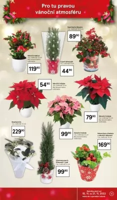 akční leták Tesco 15.11.2023-21.11.2023