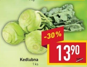 Kedlubna bílá