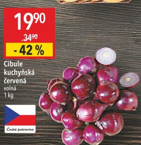 Cibule červená