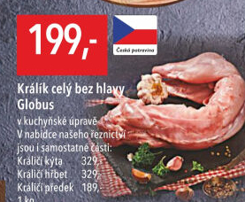 Králík Globus