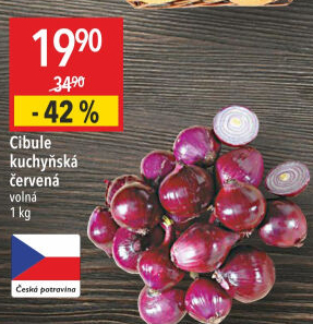 Cibule červená