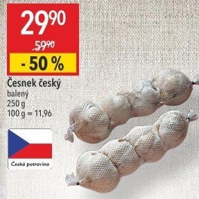 Česnek český