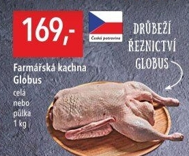 Kachna farmářská Globus