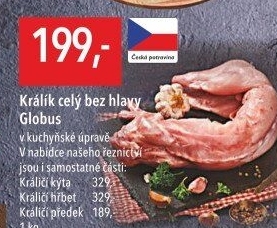 Králík Globus
