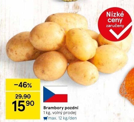 Brambory konzumní pozdní