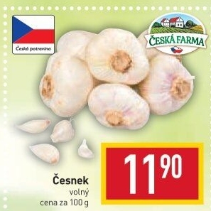 Česnek Česká farma