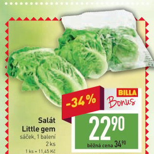 Salát little gem