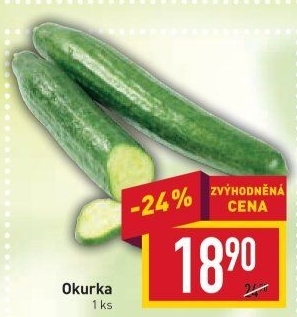 Okurka hadovka