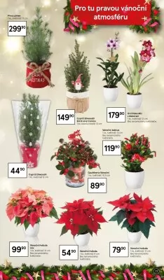 akční leták Tesco 27.11.2023-24.12.2023