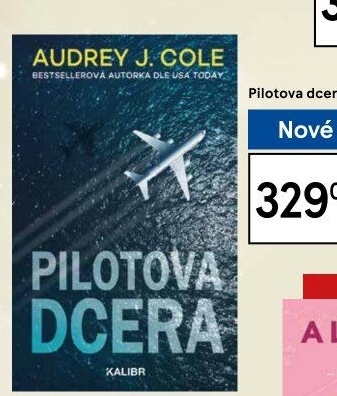 Kniha Pilotova dcera Audrey J. Cole