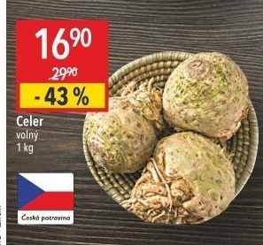 Celer bulva