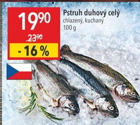 Pstruh duhový kuchaný