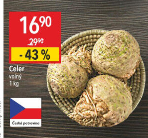 Celer bulva
