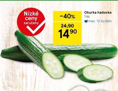 Okurka hadovka