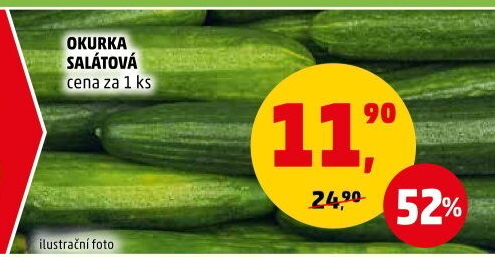 Okurka hadovka