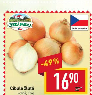 Cibule žlutá Česká Farma