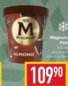 Zmrzlina v kelímku Magnum Algida