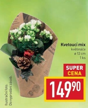 Mix kvetoucích rostlin
