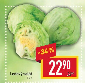 Salát ledový