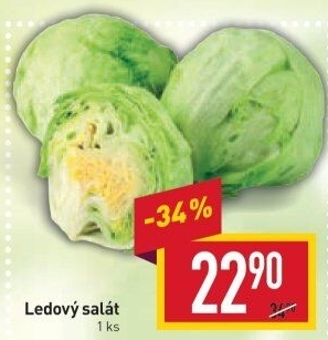 Salát ledový
