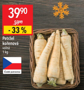 Petržel