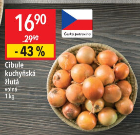 Cibule kuchyňská žlutá