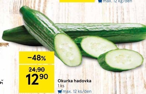 Okurka hadovka