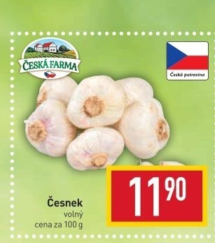 Česnek Česká farma