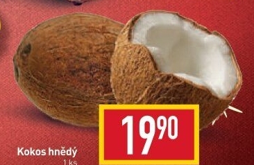 Kokosový ořech