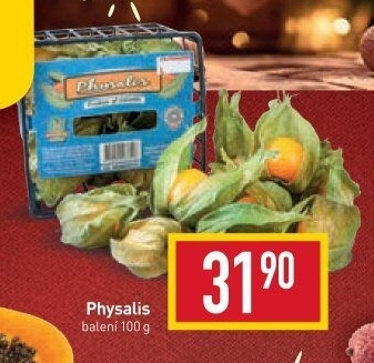 Physalis - Mochyně